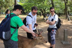 Julien, Vincent et Ronan